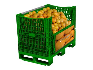 Afbeelding 095